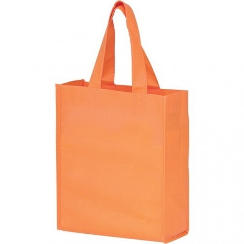 Carry Bag in Sirsa