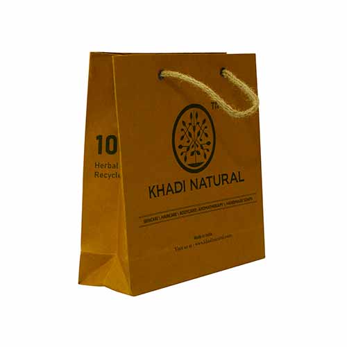 Paper Bag in Sirsa