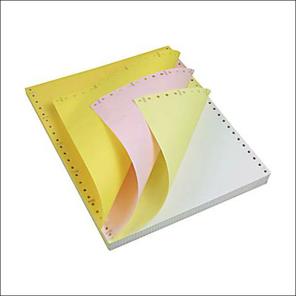 Printed Continuous Stationery in Sirsa